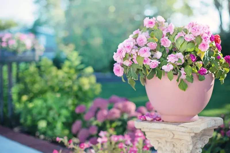 Spring Refresh Ideas for a More Welcoming Garden