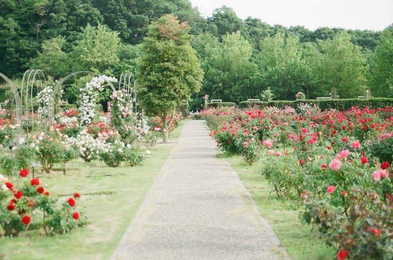 Seasonal Garden Refresh Workflow
