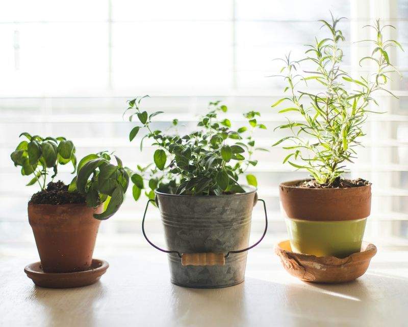 Evergreen Harbour Garden Co. 10