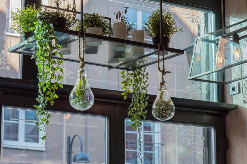 Evergreen Harbour Garden Co. 2