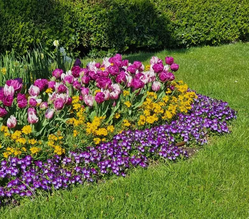 Evergreen Harbour Garden Co.